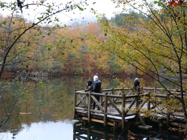 Se vive la belleza de otoño en Yedigöller