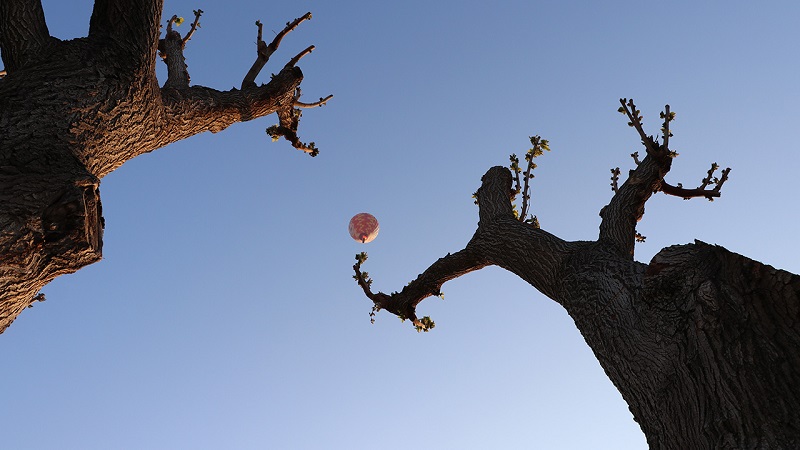 Los accesorios colorados del cielo están listos para la temporada