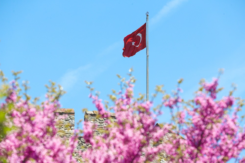 Árboles de Judas en Estambul