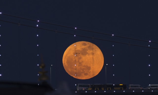 Foto-Foto Super Blue Blood Moon