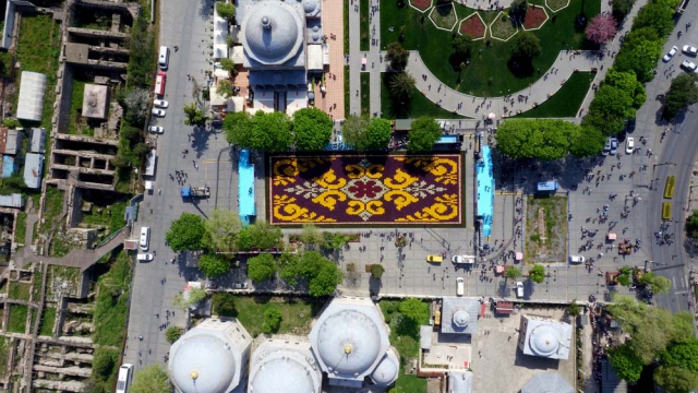 Во Истанбул постелен најголемиот живописен „килим од лалиња“ во светот