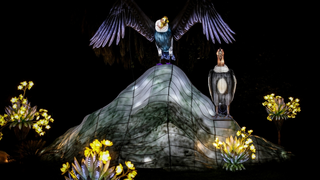 Festival di illuminazione in Colombia
