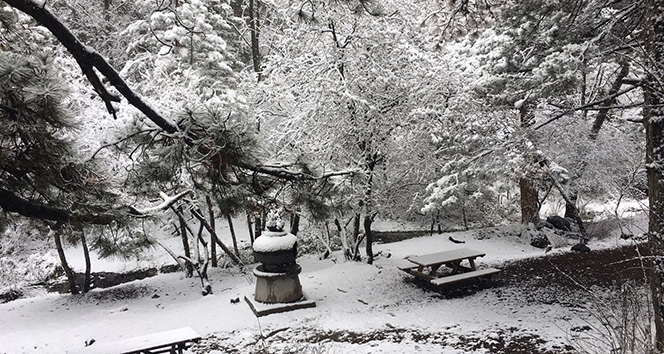 春の始まりの3月にアンカラで雪