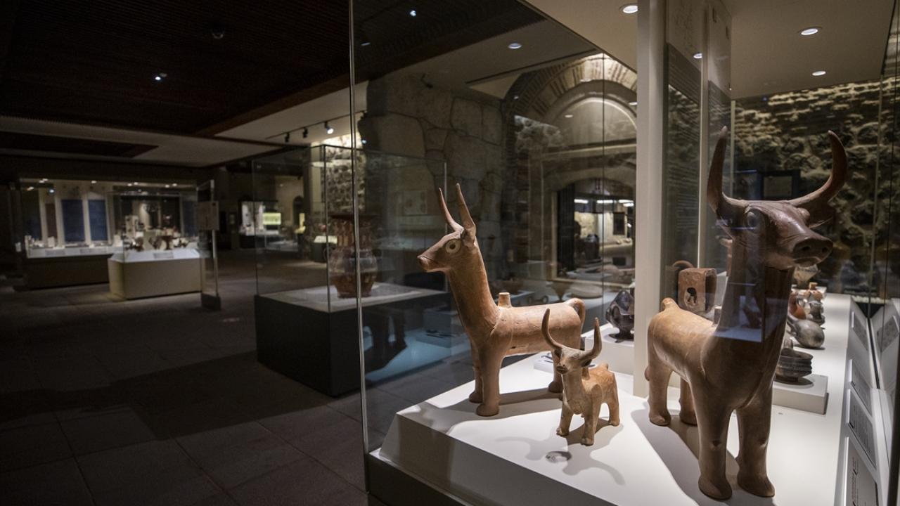 Museo de las Civilizaciones Anatolianas en Ankara