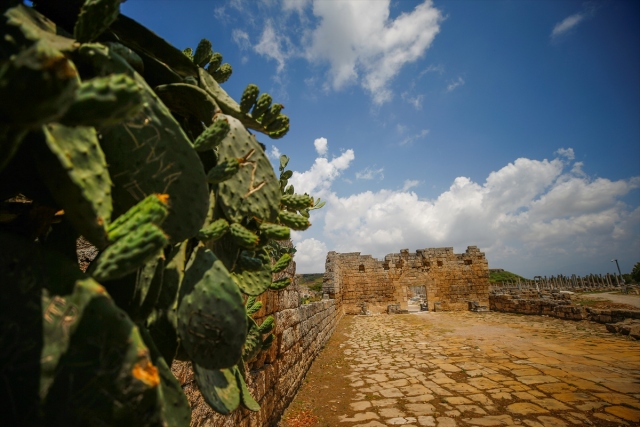 perge (20).jpg