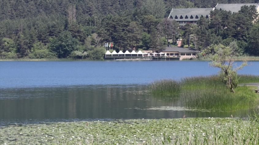 Los parques naturales de Bolu son más bellos con el “nenúfar”