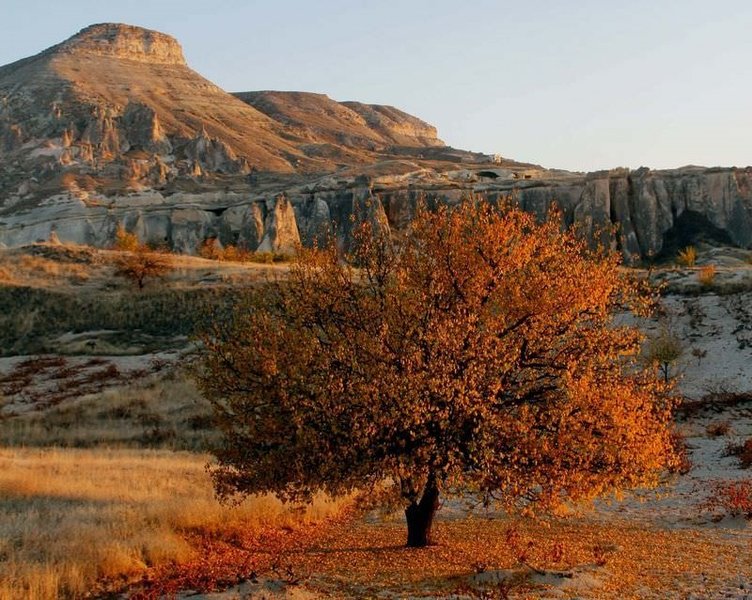 Otoño en Capadocia (Sabah)