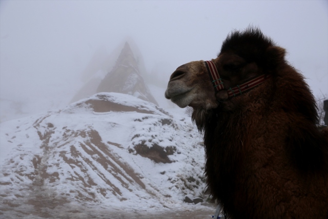 La belleza de niebla y nieve en Capadocia