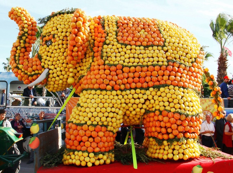 Mersin VI Beynəlxalq Sitrus Festivalı_01.jpg