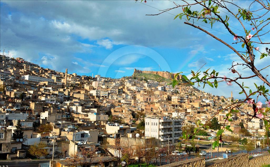 Mardin