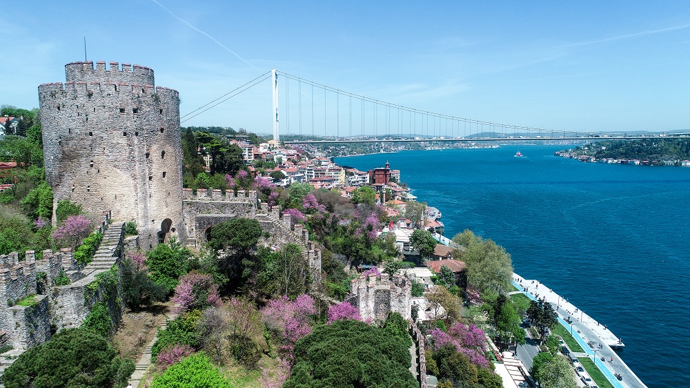 Árboles de Judas en Estambul