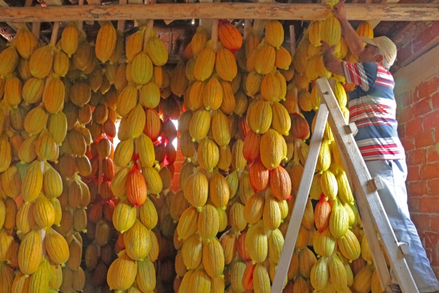 El melón de Kırkağaç que es famosa por su firmeza se hace esperar colgando en hilo para presentar a la venta