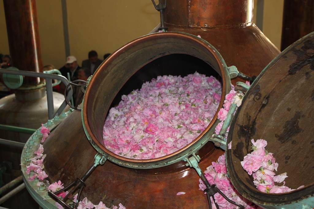 Las rosas de Isparta