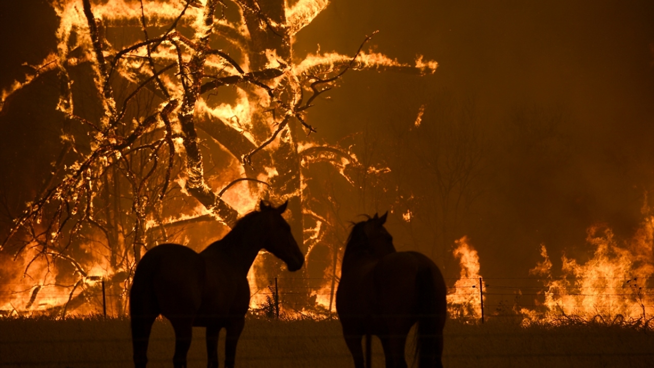 Incendios en Australia