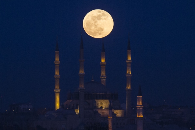Foto-Foto Super Blue Blood Moon
