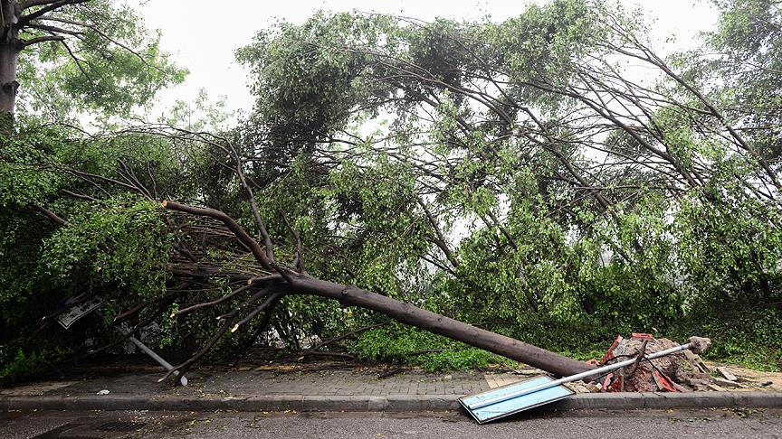 中国中部和东部地区受龙卷风侵袭:7人死亡