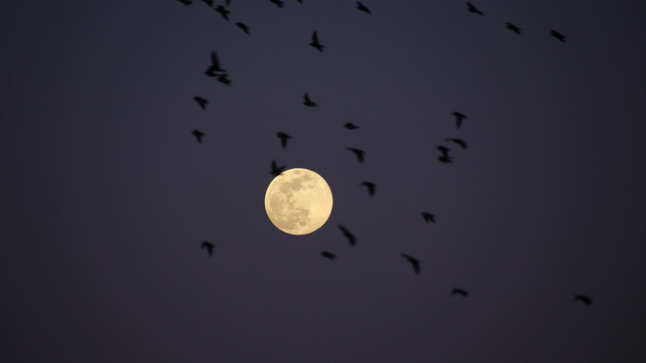 A partir de esta noche la primera Súper Luna se podrá observar