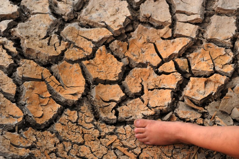 80 درصد مساحت استان اردبیل دچار خشکسالی شدید است