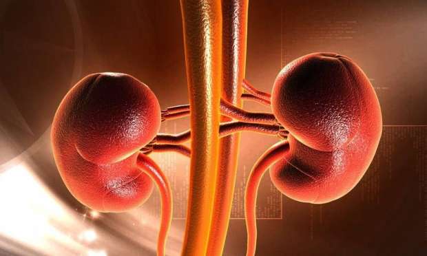 Bebé de 2 meses recuperado con cirugía de riñón