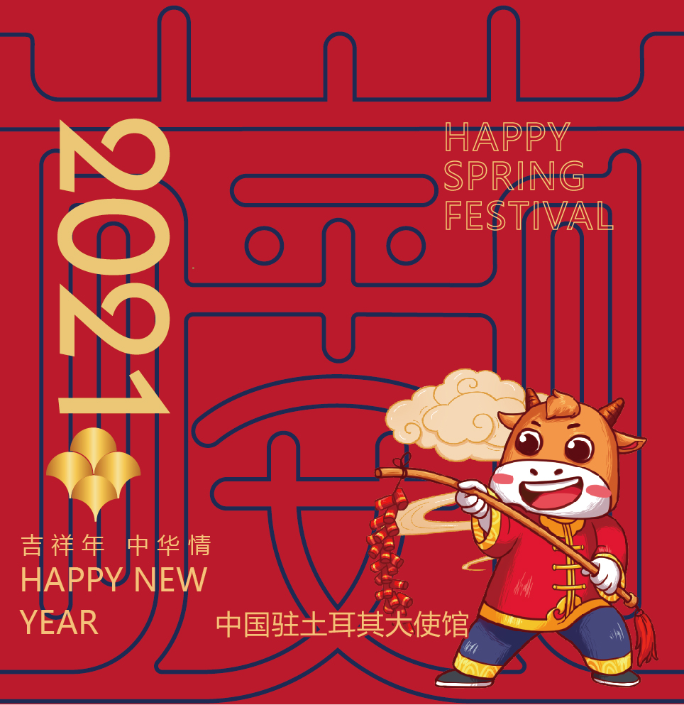 中国驻土耳其大使馆将向困难同胞发放“春节包”
