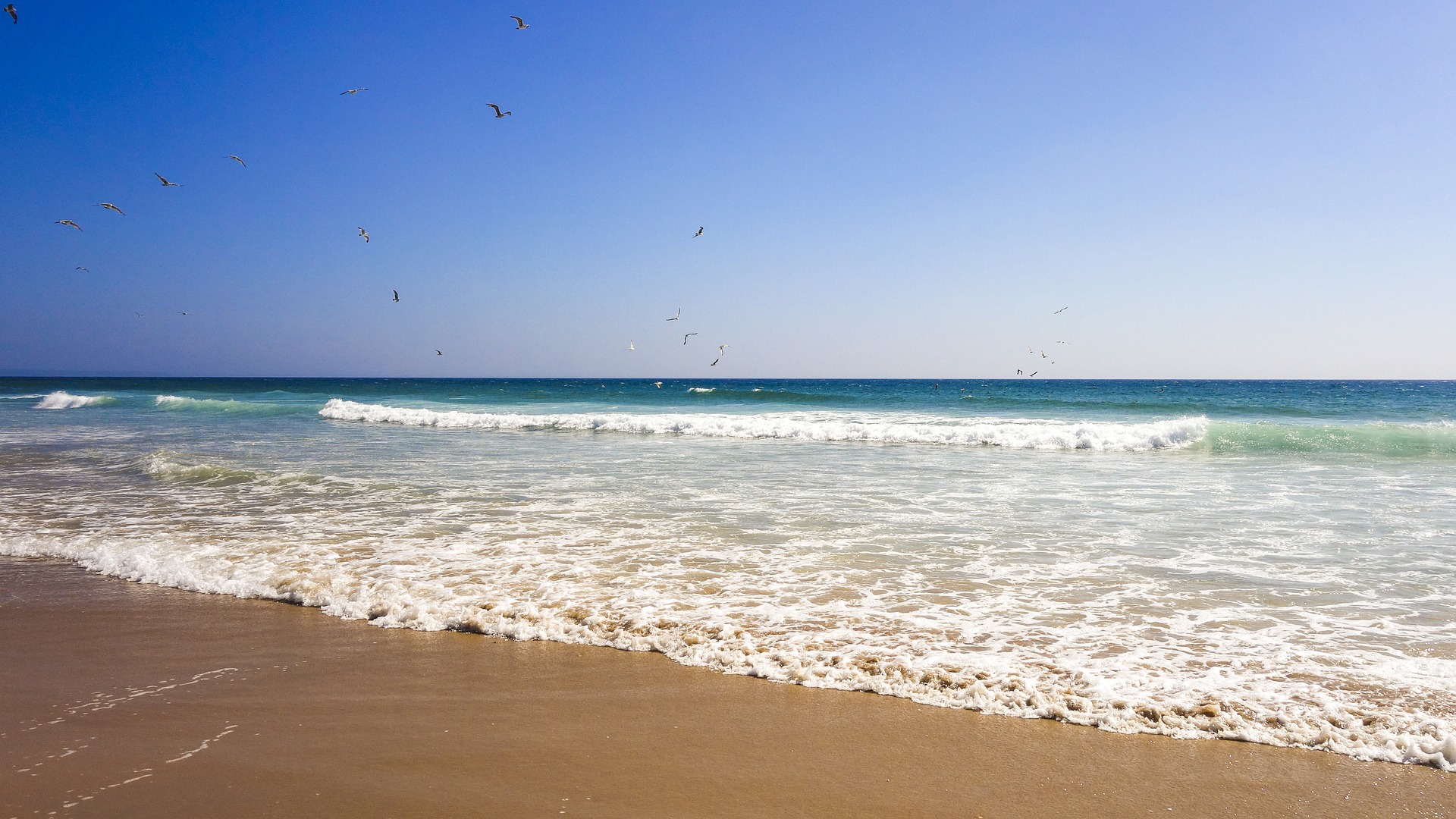 Costa Vicentina