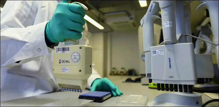 L'Europe pourrait atteindre l'immunité collective contre le coronavirus le 14 juillet