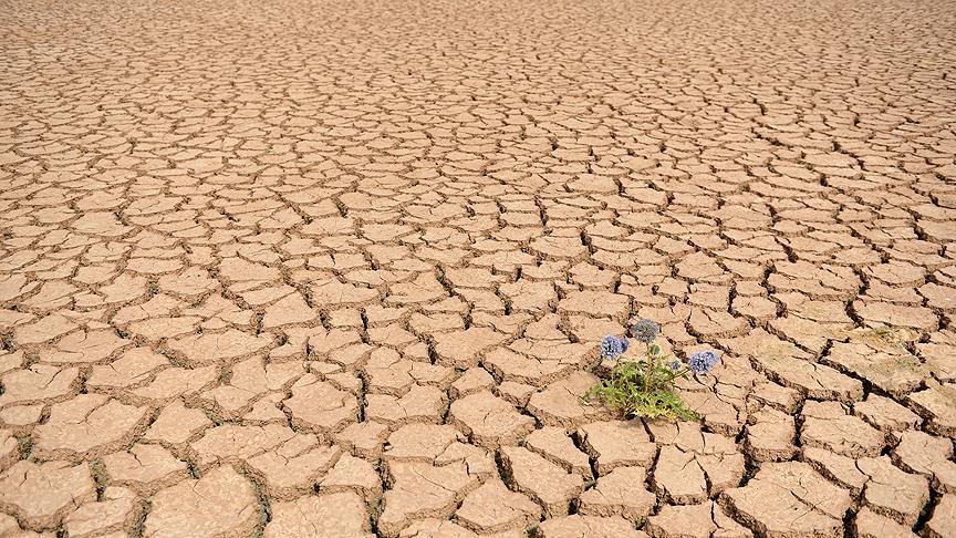 2020年は最も気温が高かった年の1つ、グテーレス国連事務総長の呼びかけ