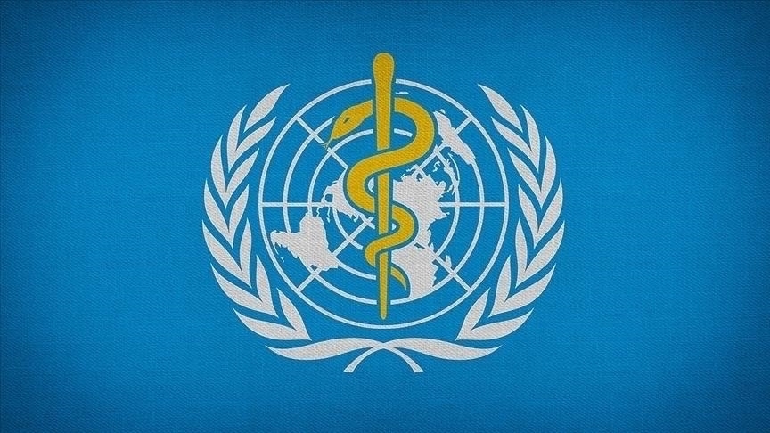 世卫组织讨论是否将猴痘病毒定为““国际公共卫生紧急事件”