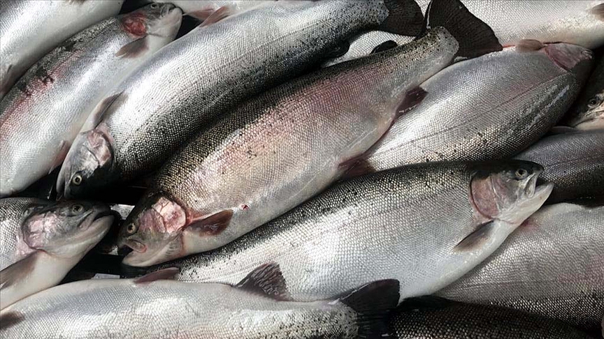 パクデミルリ農業森林相、2020年の水産物の生産及び輸出に関して見解