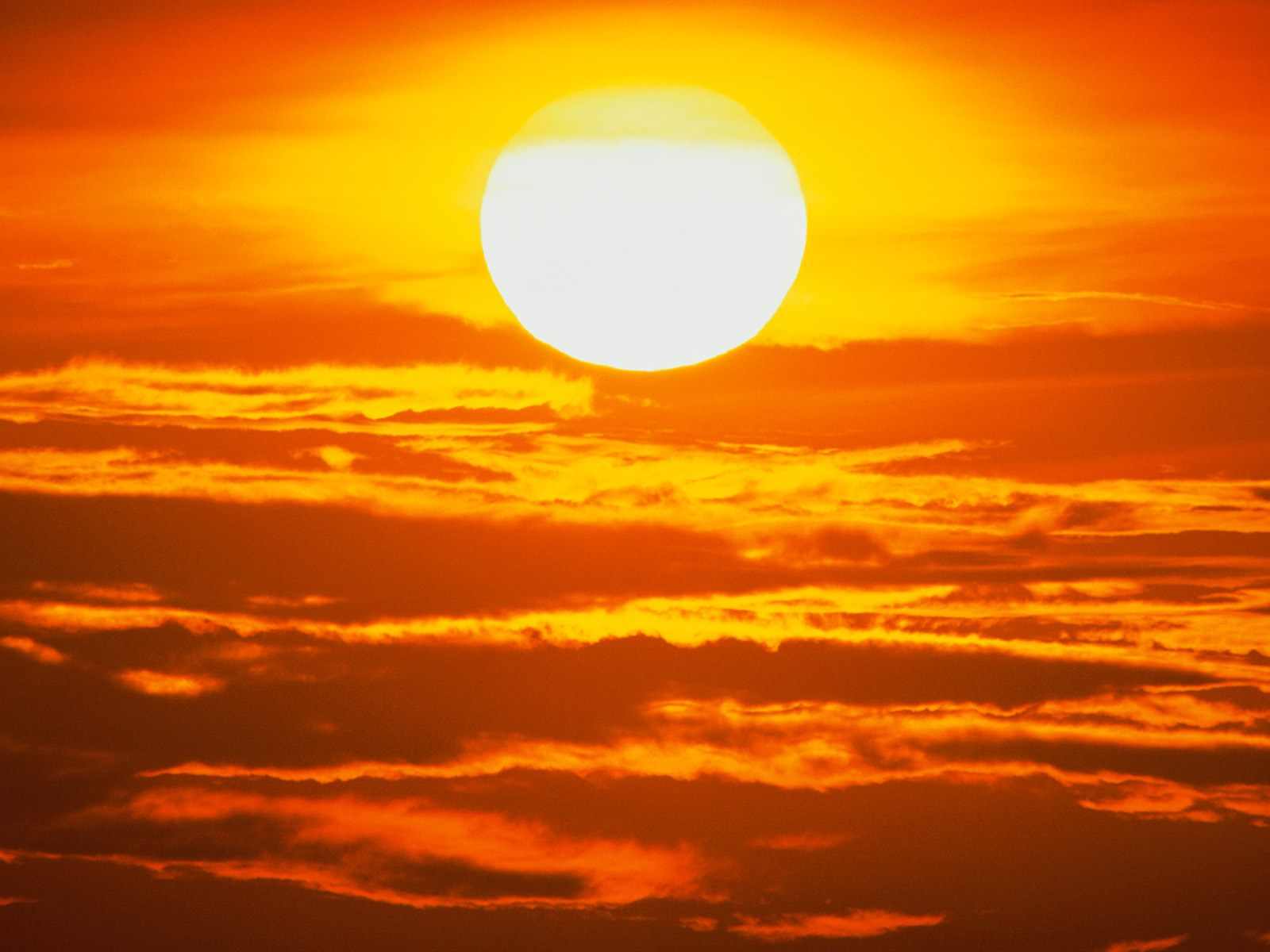 El calor extremo deja al menos 130 muertos en Canadá