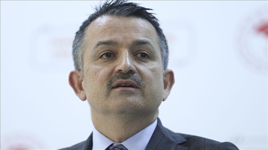 “Ağaclandırmada Türkiyə Avropada birincidir”, B.Pakdemirli