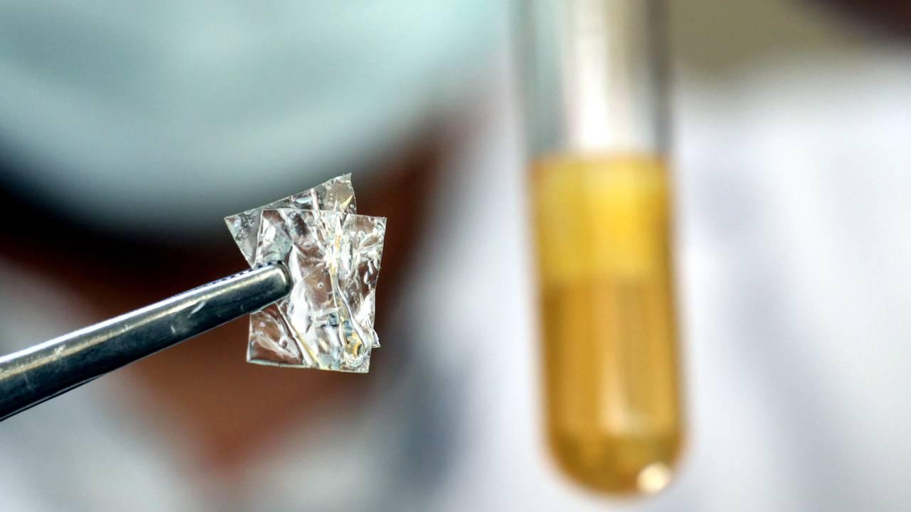 Ftalatos en envases plásticos provocan más de 100.000 muertes prematuras al año en EE.UU.