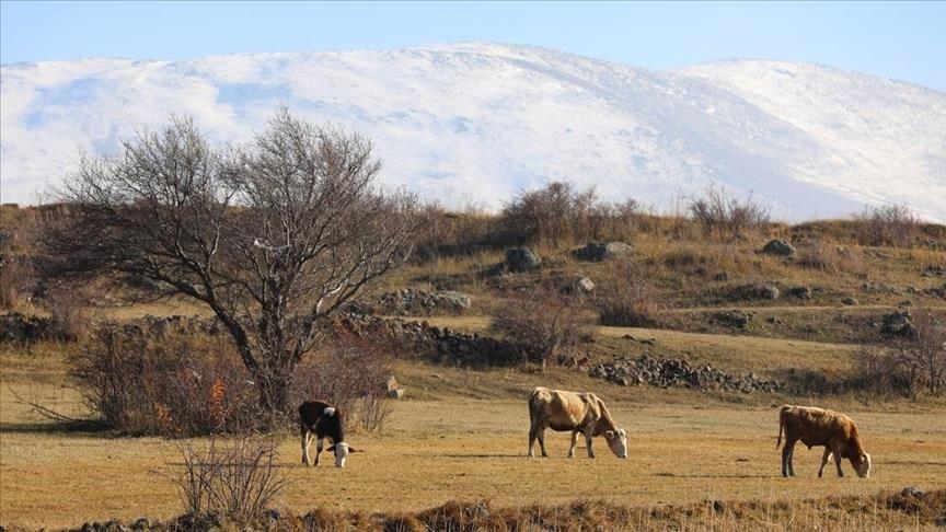 چشمانداز زیبای پاییزی در ایغدیر