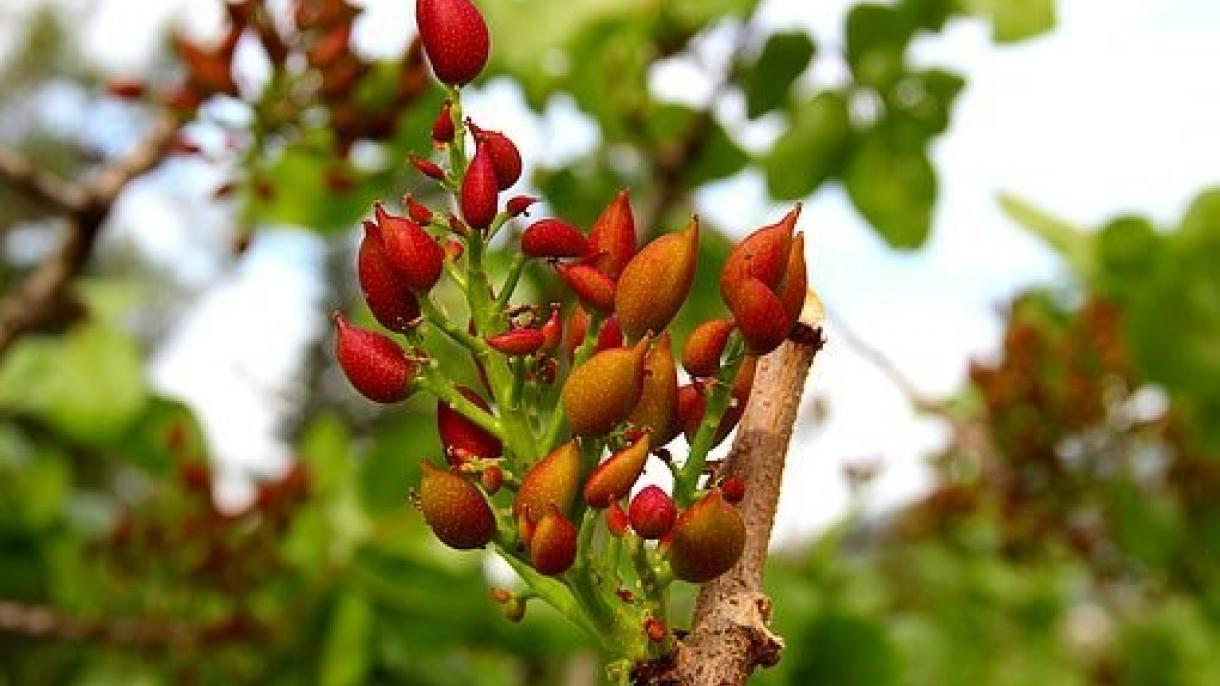 آیا اینها را میدانید؟ـدوشنبه ۲۴جوزا۱۴۰۰هجری شمسی، مطابق با ۱۴ جون ۲۰۲۱ میلادی