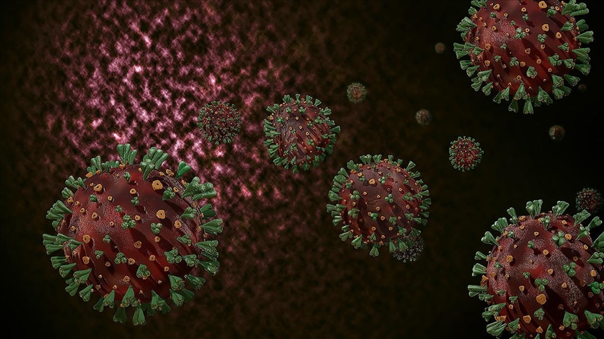 ¿El coronavirus se habría propagado a los humanos de murciélagos a través de otro animal?