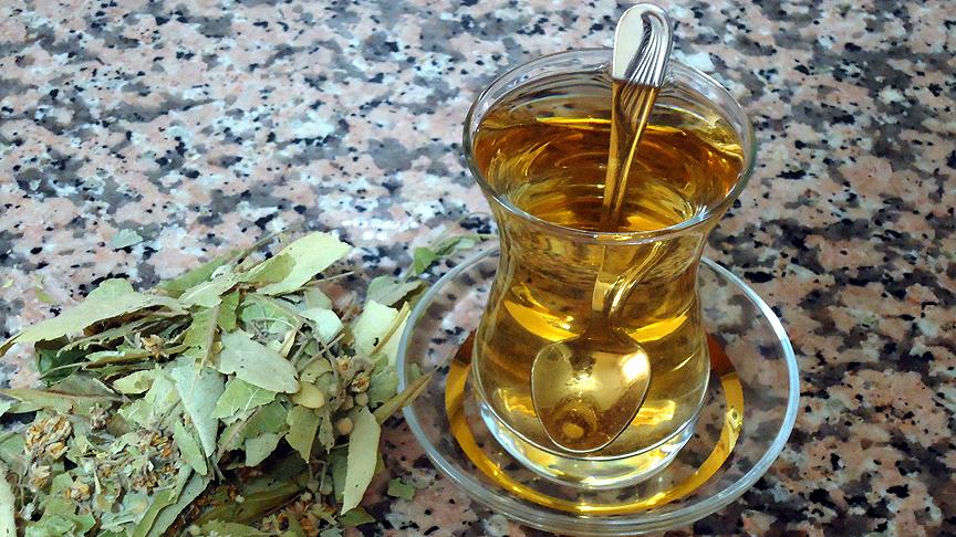 معجزه گیاهان - مریم گلی و معجزه سرکه چهار دزد