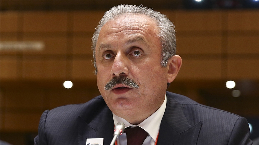 Mustafa Şentop yalan xəbərlərə və dezinformasiyalara qarşı mübarizəyə çağırıb