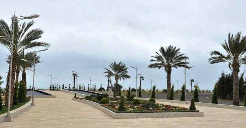 Azərbaycanda "Covid-19"dan ölüm və yoluxma sayı (28 fevral)