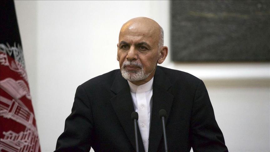 طالبان روابط پیچیدهای با شبکههای تروریستی بینالمللی و منطقوی دارد