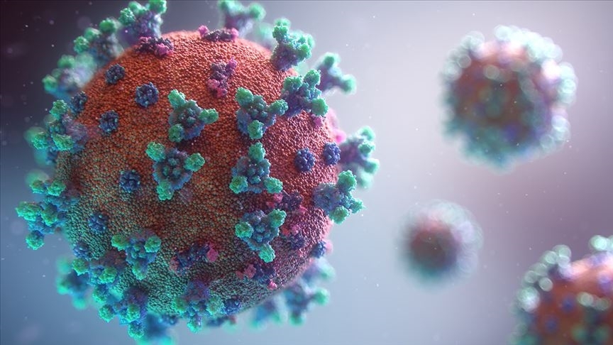 Telah Dirancang Nanopartikel untuk Digunakan dalam Perawatan Berpotensi Covid-19