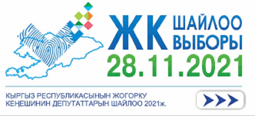 Түркиядагы кыргыз жарандары Кыргызстанда өткөн шайлоо үчүн добуш беришти