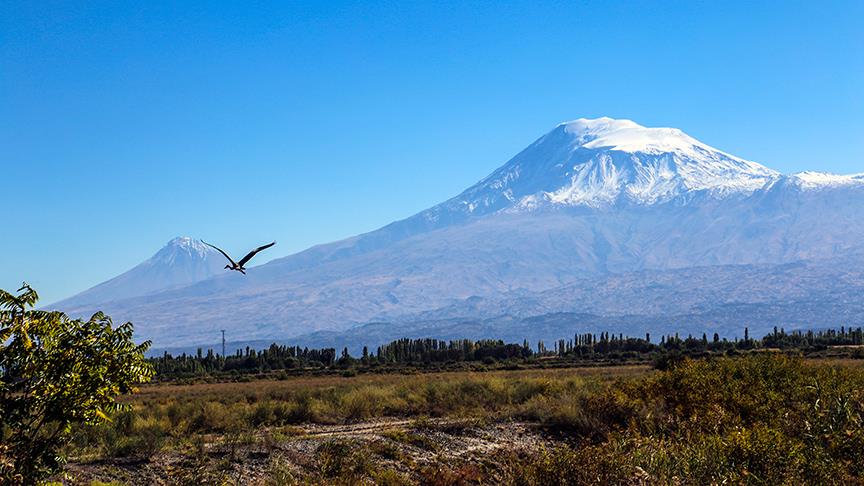 Mlima Ararat