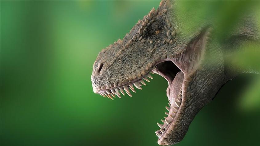 Dön’yada niçä dinozavr yäşägän?