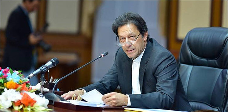 پاکستان نے ماحولیات کی بقا کے لیے بھر پور کاروائیاں کی ہیں، عمران خان
