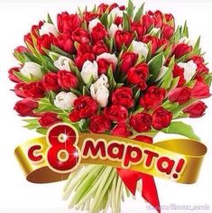 8-Mart Xalqaro xotin-qizlar bayrami muborak bo'lsin!