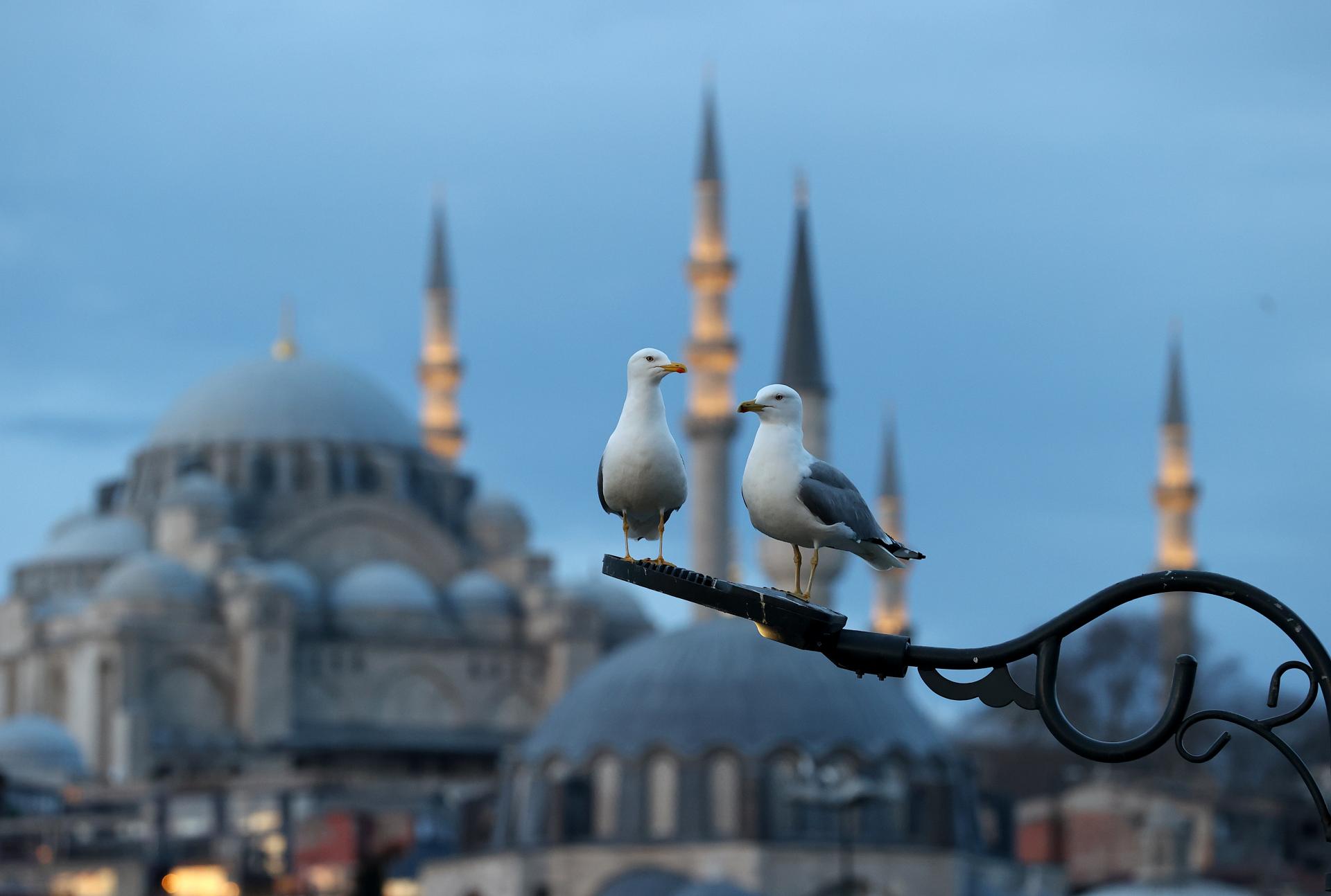 Una delle città più maestose del mondo: Istanbul