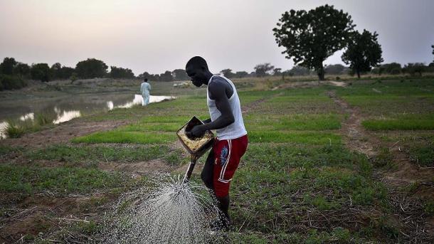 L’agriculture sera à l’origine de la "révolution tranquille" en Afrique