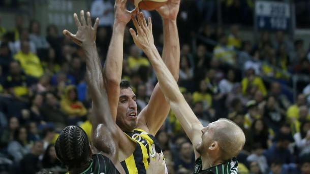 fenerbahçe beko.jpg