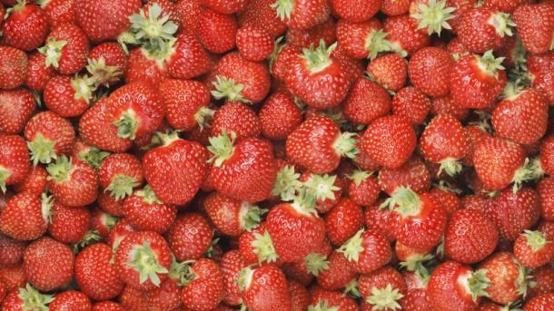 Luleshtrydhja, fruti "mik" i shëndetit dhe i mirëqenies së njeriut