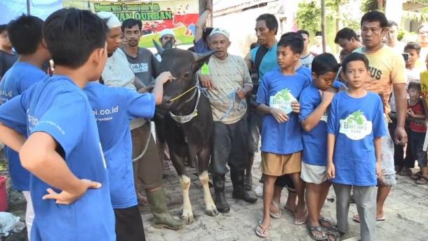 Indonezija: Sedmero djece štedjelo skoro godinu da bi kupilo kurban za Bajram